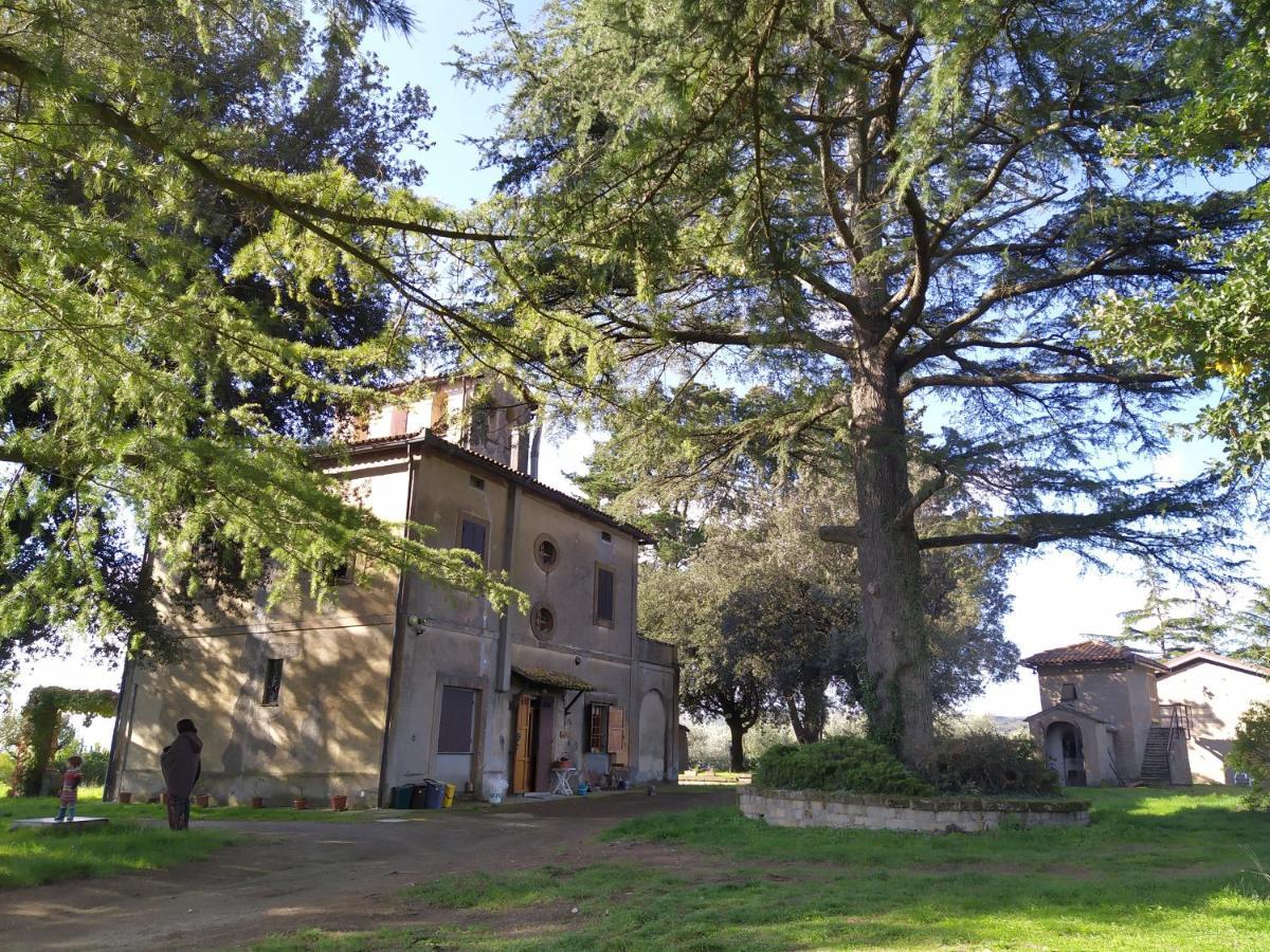 Agriturismo La Villetta San Lorenzo Nuovo Exterior foto