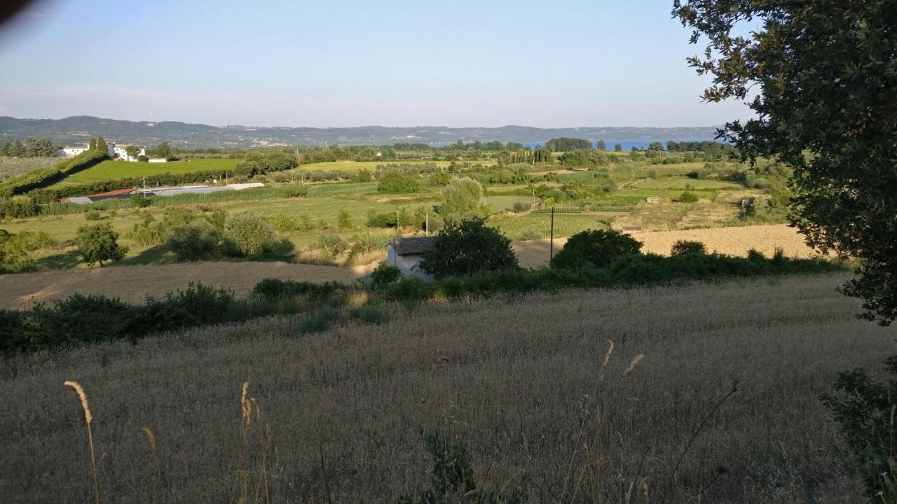 Agriturismo La Villetta San Lorenzo Nuovo Exterior foto