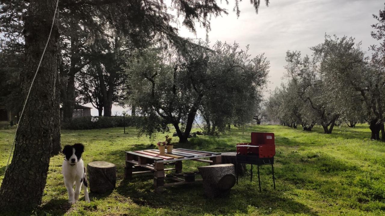 Agriturismo La Villetta San Lorenzo Nuovo Exterior foto