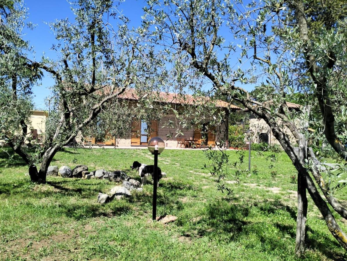 Agriturismo La Villetta San Lorenzo Nuovo Exterior foto