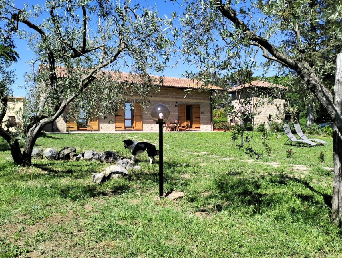 Agriturismo La Villetta San Lorenzo Nuovo Exterior foto