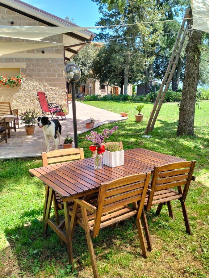 Agriturismo La Villetta San Lorenzo Nuovo Exterior foto